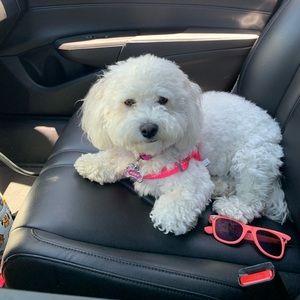 Meet your Posher, Lori